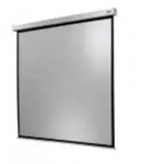 Celexon Motor Professional Plus 1090760 Motorleinwand 220 x 220cm Bildformat: 1:1