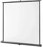 celexon Leinwand Ultramobil Professional 160 x 160 cm