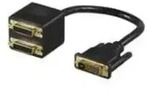 Wentronic Goobay DVI-Stecker > 2x DVI-Buchse, DVI-D-Stecker Dual-Link (24+1-Pin),