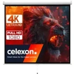 celexon basic Rollo-Leinwand 135"| 1 1| ausziehbare Full-HD 4K Beamer-Leinwand -