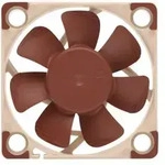 Noctua NF-A4x10 5V PWM - Geh&auml;usel&uuml;fter - 40 mm