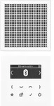 Jung Smart DAB+ Digitalradio DAB LS1 BT WW