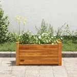 vidaXL Garten-Hochbeet Akazienholz 50x25x25 cm
