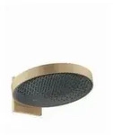 hansgrohe HG Kopfbrause Rainfinity 360 1jet Wandmontage brushed bronze