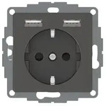 Merten Einsatz System Design Anthrazit MEG2366-0414 1St.