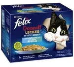 Felix SGWEA doppelt lecker Geschnetzeltes aus dem Wasser