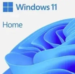 Microsoft Windows 11 Home Vollversion, 1 Lizenz Betriebssystem Italienisch