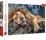Der schlafende L&ouml;we (Puzzle)