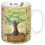 K&ouml;nitz Kaffeebecher Wissensbecher B&auml;ume 490ml, braun/gr&uuml;n