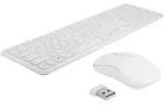 DeLOCK - Tastatur-und-Maus-Set - kabellos - 2.4 GHz