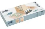 Small foot 12221 - Regatta Gold Edition, Schiffe versenken, Strategiespiel, Holz,