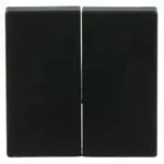 Busch-Jaeger Wippe sw/mt 6736 FoH-885
