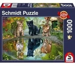 Schmidt Spiele Dream Big!, Erwachsenenpuzzle, Puzzle, ab 12 Jahre, 1000 Teile, 57392