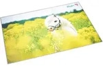 Schreibunterlage Motiv-Poster 40x53 cm Pferd im Rapspfeld
