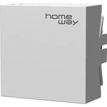 Homeway Access Point HW-INAP6TORW