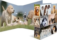 Herma 7165, HERMA Ordner A4 Hunde