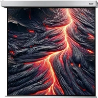 celexon 1090758, celexon Motorleinwand Professional Plus: 180 x 180 cm (100" 1:1)