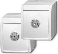 Busch-Jaeger 2CKA002083A0836, Busch-Jaeger Steckdose aufputz 20/20 EWSL-54 -