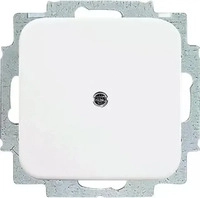 Busch-Jaeger 2CKA001715A0275, Busch-Jaeger Blindzentralscheibe aws mit Tragring