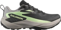 Salomon L47862800024, Salomon - Women's Genesis GORE-TEX - Trailrunningschuhe 38 2/3