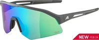 Alpina A8734021, Alpina Sonic HR Q-lite midnight-grey matt mirror green (21) one size