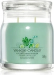 Yankee Candle Cucumber Mint Cooler Duftkerze Signature 368 g, Grundpreis:...