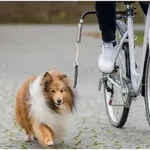Trixie Biker-Set f&uuml;r Hunde Gr&ouml;&szlig;e: S&ndash;M