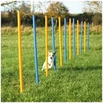 Trixie Dog Fun Agility Slalom 115 x 3 cm, 12 St., blau orange