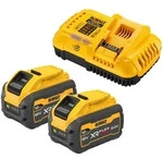 DEWALT DCB118XY2-QW Tabless Akku-Starter-Set, 216 Wh