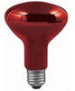Paulmann Glühlampe Reflektor R95, 100 W, E27, 230 V, Infrarot