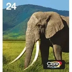 Epson 24 Patronen Multipack