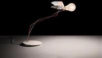 Ingo Maurer Tischleuchte LUCELLINO TABLE mit Schiebedimmer 4812000 4251545419024