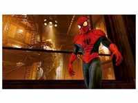 Activision Spider-Man: Edge of Time - Nintendo DS - Action - PEGI 12 (EU import)