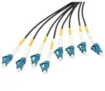 breakout cable - 100 m - black - Schwarz - 100m