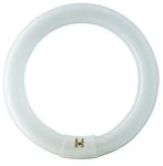 Philips 928027484070, Philips Fluoreszierende Gl&uuml;hbirne Master TL-E Cirkular 40W/840