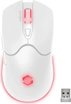 Speed-Link SL-680102-WT, Speed-Link Speedlink - VELOX Rechargeable RGB Wireless