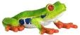 Mojo Wildlife Red-Eyed Tree Frog