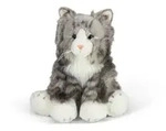 Grey Fluffy Cat