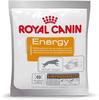 Nutritional Supplement EDUC Dog treats 50 g
