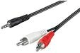 Pro MiniJack - 2xRCA - Schwarz - 15m