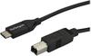 USB C to USB B Cable - M/M - USB 2.0 - USB-C cable - 2 m