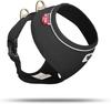 Basic harness Air-Mesh Black XS
