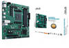 Pro B550M-C/CSM Mainboard - AMD B550 - AMD AM4 socket - DDR4 RAM - Micro-ATX
