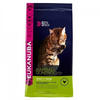 Hairball Control 1+ Adult 2kg