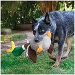 Dog Toy Shakers Honkers Duck Large 45cm