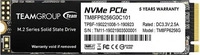 Team Group TM8FP6256G0C101, Team Group MP33 SSD - 256GB - M.2 2280 (80mm) PCIe 3.0