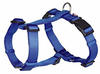 Premium H-harness L: 60-87 cm/25 mm royal blue