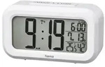 RC 660 Radio Alarm Clock white