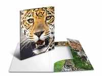 Leopard Folder A3