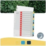 Cosy PC-beschriftbares Register 1-12, PP